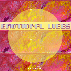 Cd Cover Emotional Vibes